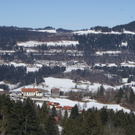 Blick Halder zur Kirche.JPG