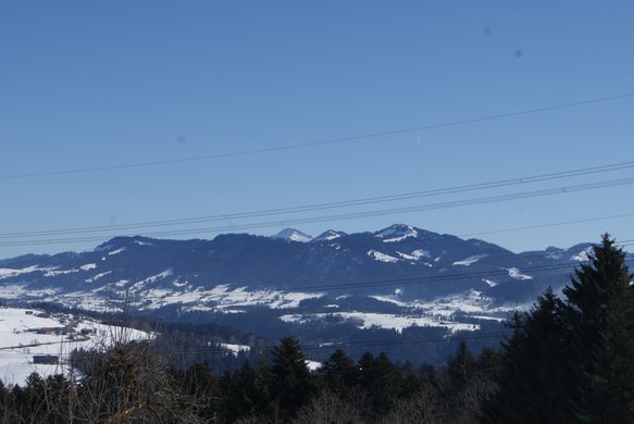 Blick in den Vorderbregenzerwald.JPG