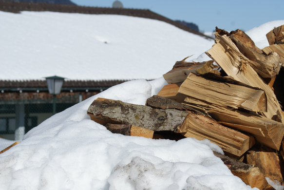 Holzhaufen im Zentrum.JPG