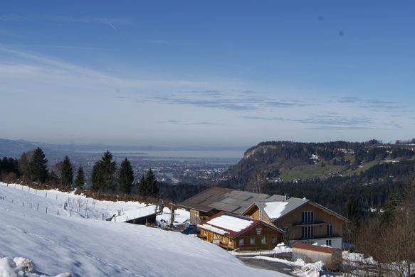 Mostst__ble Richtung See.JPG
