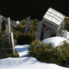 Pflanzen Winterfest im Garten Eberle Berta.JPG