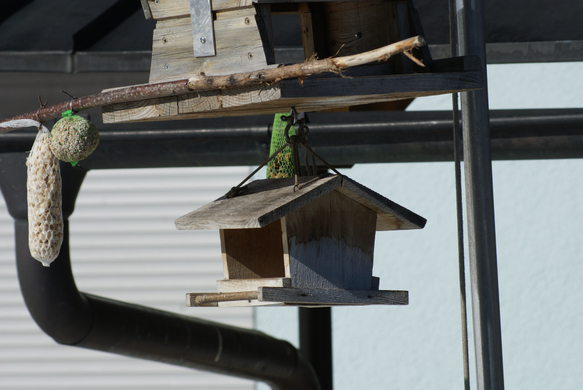 Vogelhaus bei Fam_ Eberle - Heimen.JPG