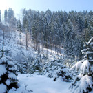 DSC_0024-1.jpg