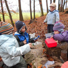Bilder aus den "Ringareia"-Waldspielgruppen