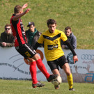 IMG_4044_jpg-1364844744