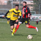 IMG_4202_jpg-1364844987