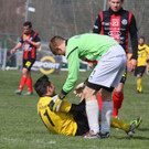 IMG_4209_jpg-1364845005