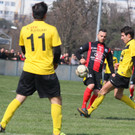 IMG_4251_jpg-1364845039