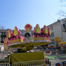 IMG_2354_JPG-1364847033