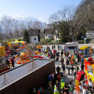 IMG_2375_JPG-1364847307