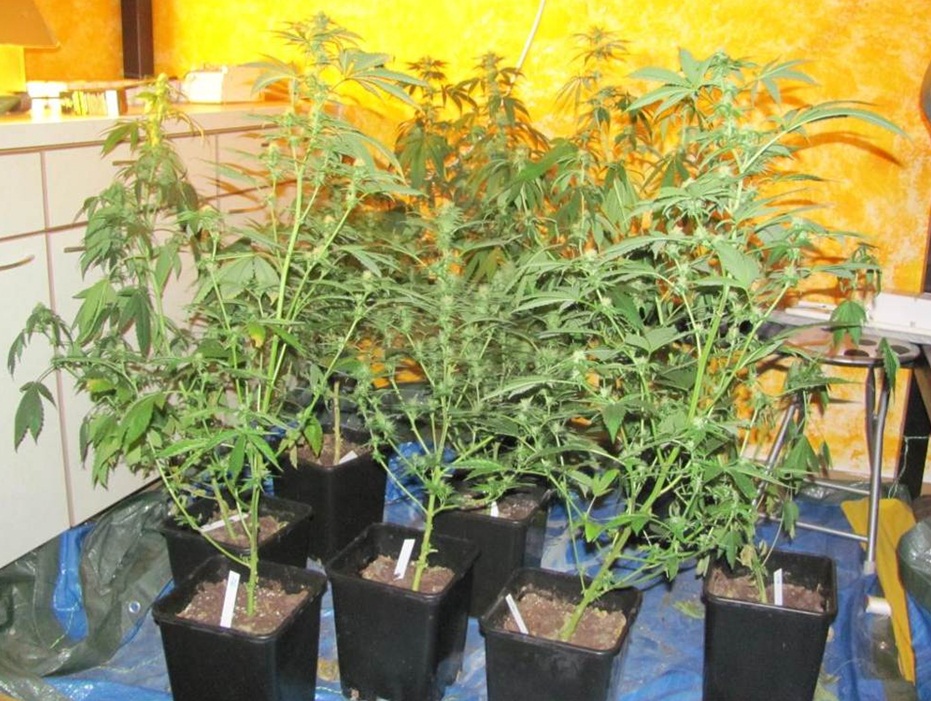 29_03_2013 PI Persenbeug 1.jpg