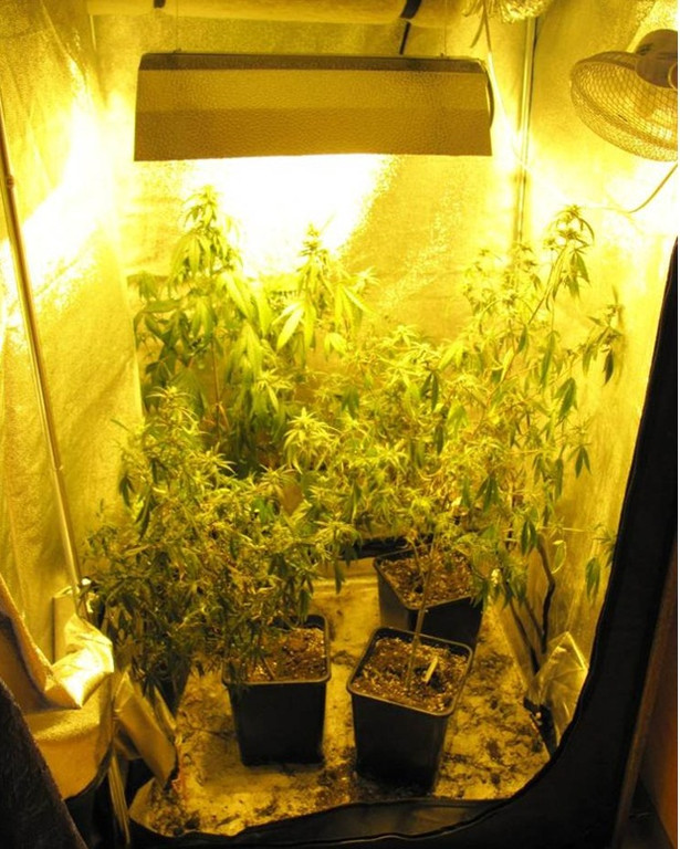 29_03_2013 PI Persenbeug 2.jpg