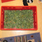 29_03_2013 PI Persenbeug 3.jpg