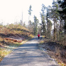 KOE_Tostner Burg04_jpg-1364932414
