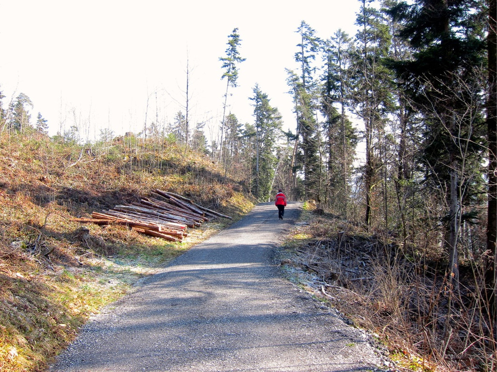 KOE_Tostner Burg04_jpg-1364932414