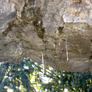 KOE_Tostner Burg15_jpg-1364932498