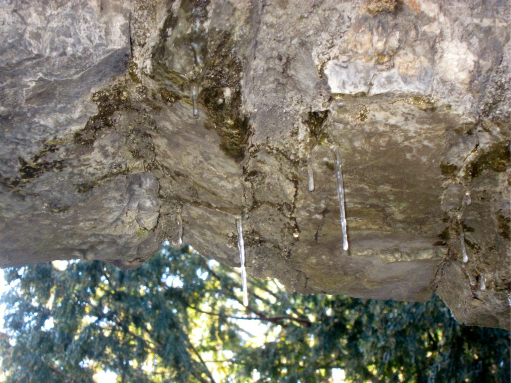 KOE_Tostner Burg15_jpg-1364932498