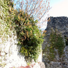 KOE_Tostner Burg16_jpg-1364932507