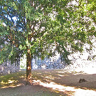 KOE_Tostner Burg21_jpg-1364932540