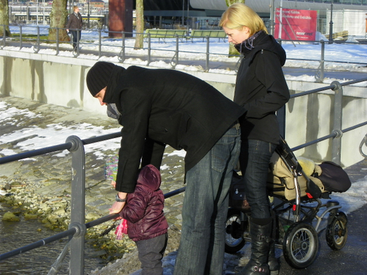 100_0464.jpg