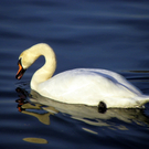 100_0475.jpg