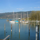 IMG_1022.JPG