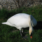 IMG_1025.JPG