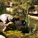 funny_photographers_18.jpg