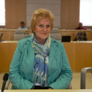 Befragung von Havranek