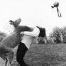 funny_photographers_33.jpg