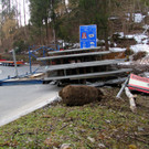 IMG_5464.JPG