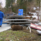 IMG_5461.JPG