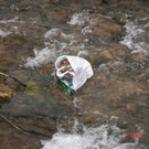Müll im Schwarzbach