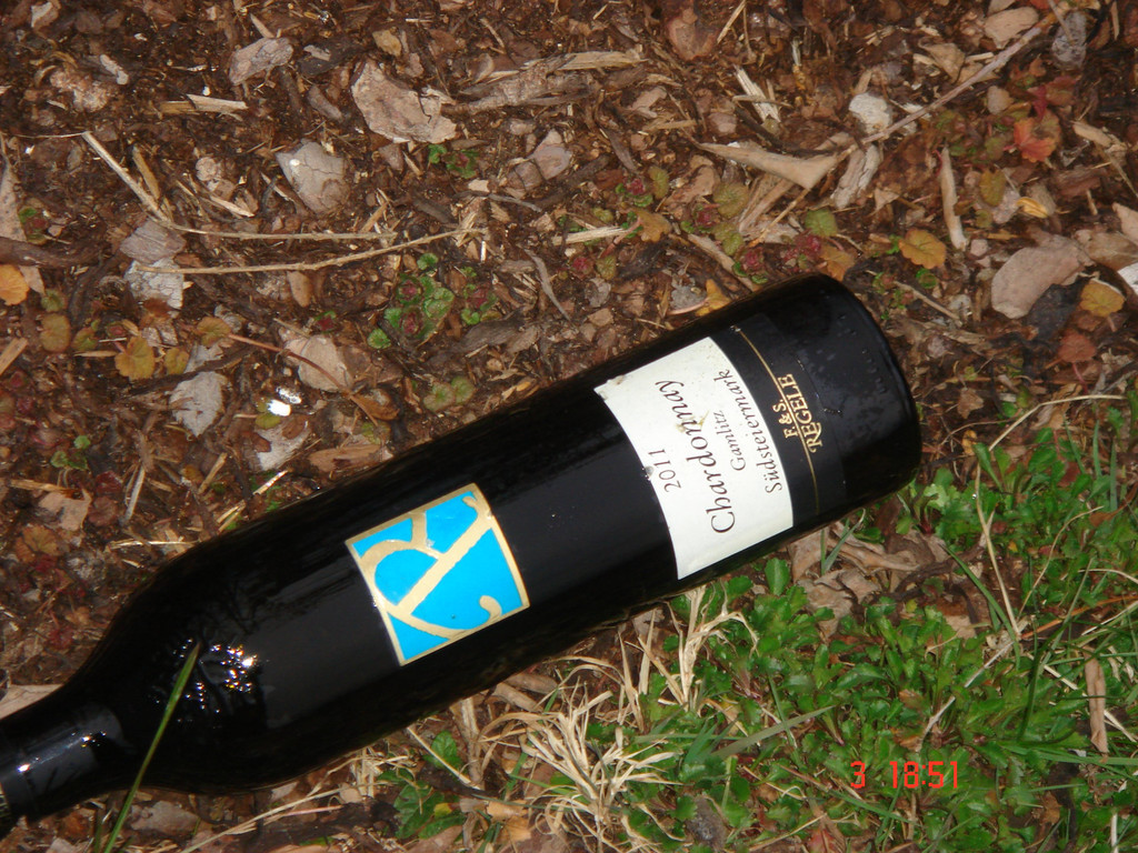 DSC00118.JPG