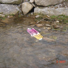 DSC00123.JPG