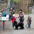 KOE_Wildpark JHV 2013 23_jpg-1365025263