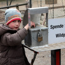 KOE_Wildpark JHV 2013 24_jpg-1365025268