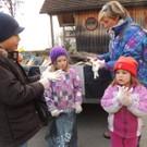 DSCN7728_JPG-1365027684