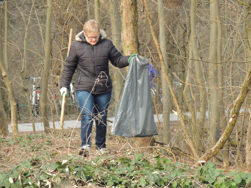 DSCN7741_JPG-1365027704