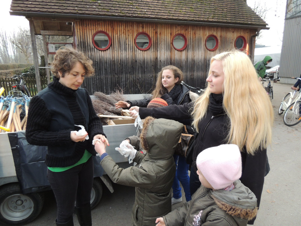 DSCN7784_JPG-1365027776