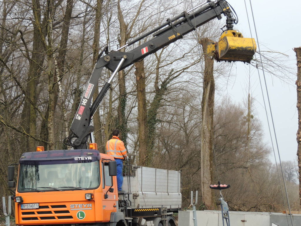 DSCN7806_JPG-1365027807