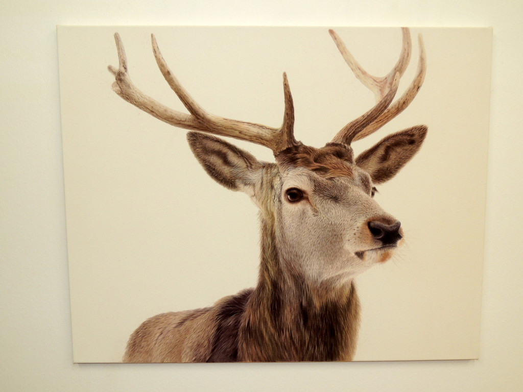 DSCN9311_JPG-1365029940