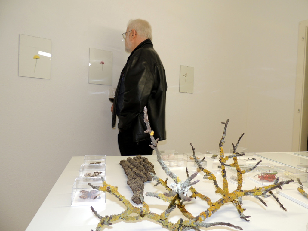 DSCN9278_JPG-1365029862