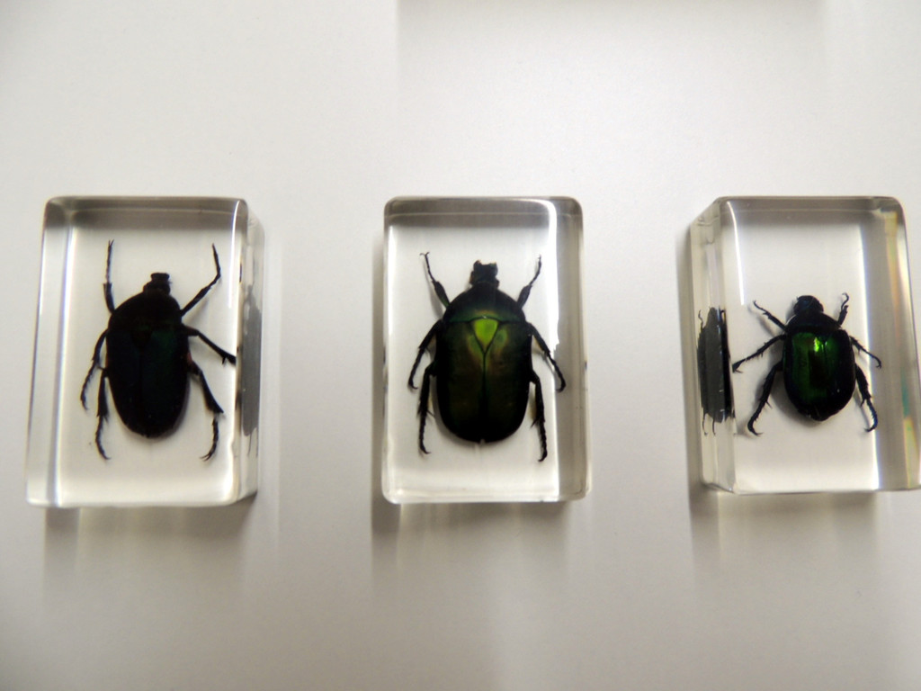 DSCN9280_JPG-1365029869