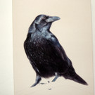 DSCN9314_JPG-1365029951