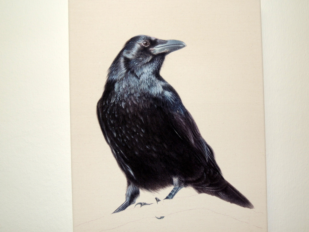 DSCN9314_JPG-1365029951