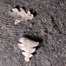 DSCN9291_JPG-1365029893