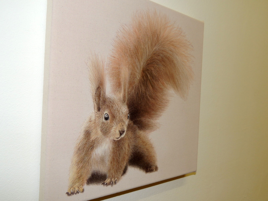 DSCN9313_JPG-1365029947