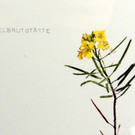 DSCN9298_JPG-1365029903