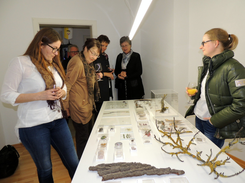 DSCN9299_JPG-1365029906